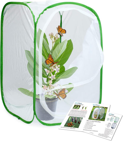 Insect and Butterfly Habitat Cage Terrarium Pop-up 23.6 Inches Tall
