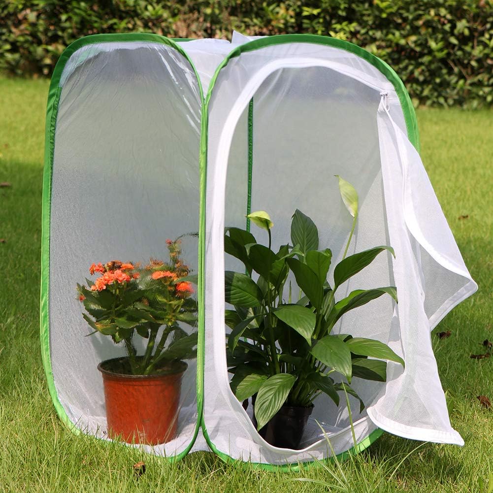 Insect and Butterfly Habitat Cage Terrarium Pop-up 23.6 Inches Tall