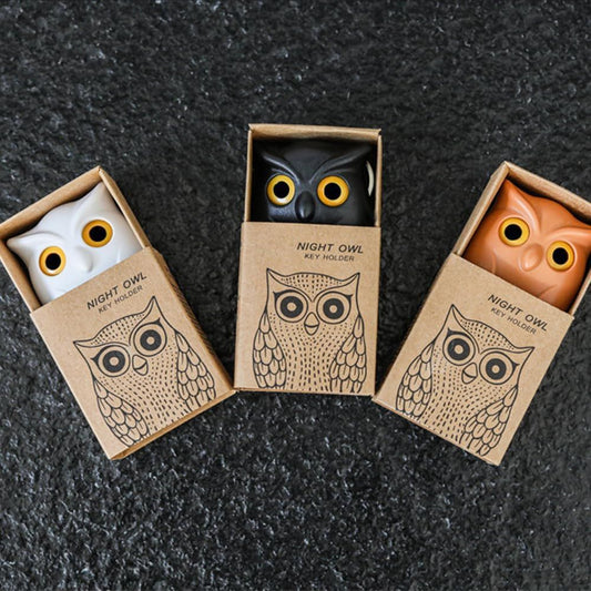 Owl Key Holder, Night Owl Magnetic Wall Key Holder Owl Key Hooks, Automatic Open Close Eyes Owl Key Holder with Wall Self-Adhesive Tape (Black+White)