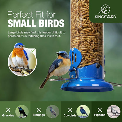 Upgraded Bluebird Feeder for Outdoors Hanging, Metal Mealworm Tube Bird Feeder with Widen Perch for Wild Birds, Squirrel Chew Proof, Easy to Refill & Clean(Blue)