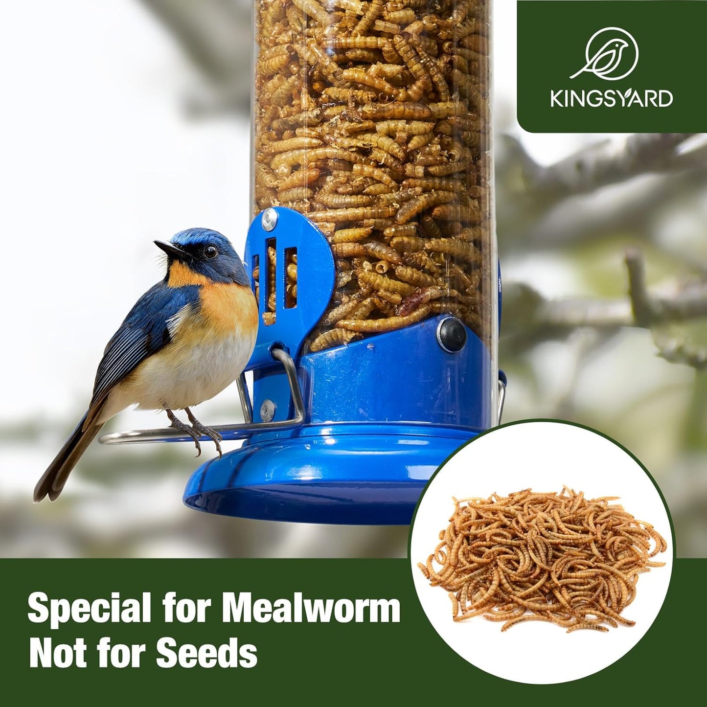 Upgraded Bluebird Feeder for Outdoors Hanging, Metal Mealworm Tube Bird Feeder with Widen Perch for Wild Birds, Squirrel Chew Proof, Easy to Refill & Clean(Blue)