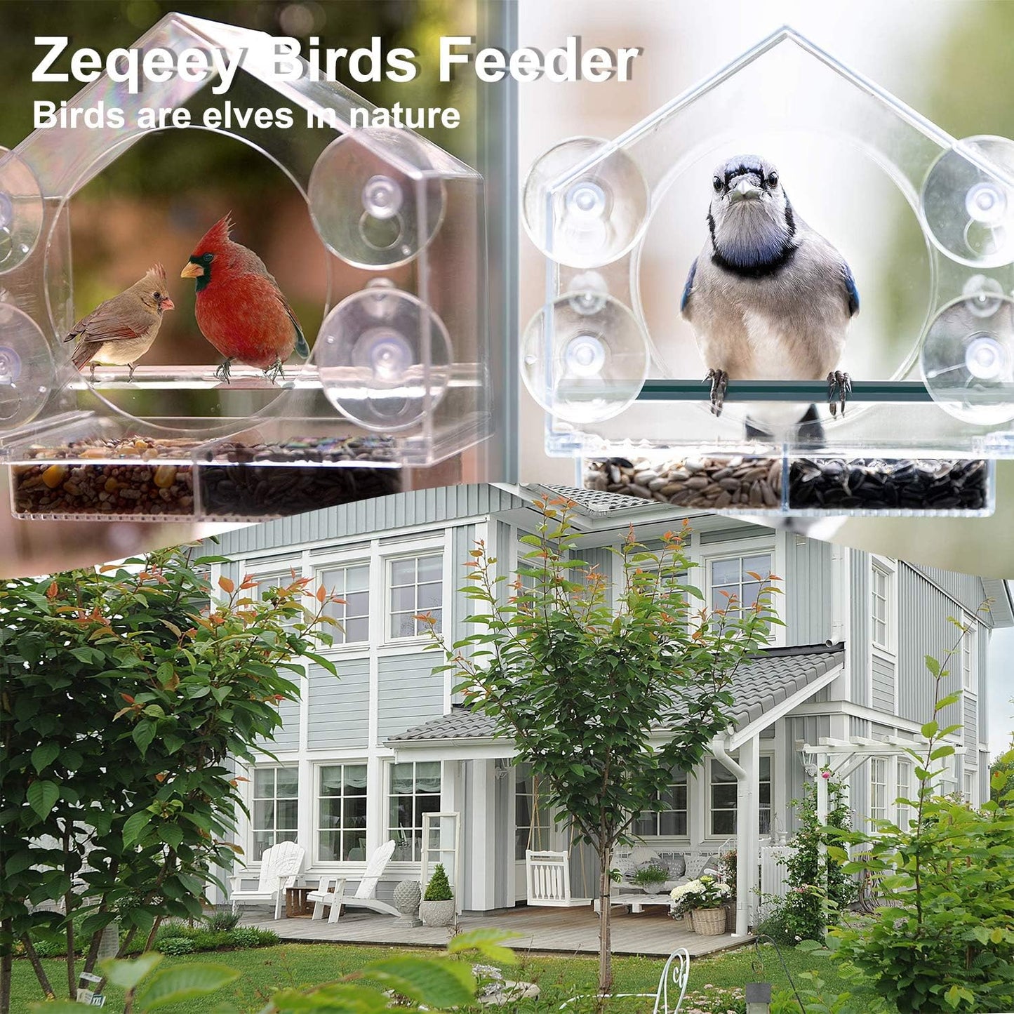 Strong suction window bird feeder, large capacity window bird feeder with removable seed tray and drainage holes for bird food, suitable for Dunnock, Blue Tit, Robin and small wild birds, 21 cm x 20 cm x 10 cm