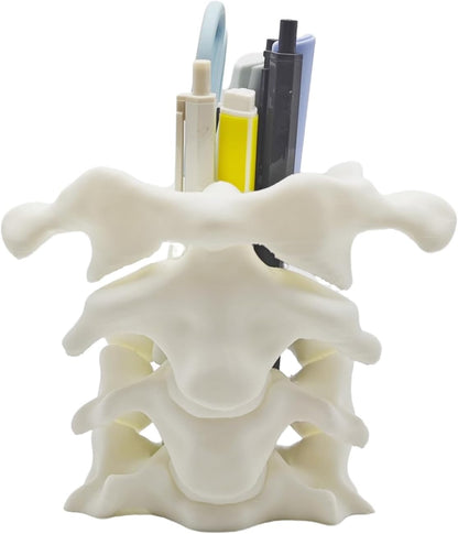 Unique Spine Pen Holder for Desk, Pencil Holder Desk Organizers, Office Supplies Decorations Idea Gift for Doctors, Nurses, Chiropractors