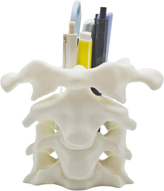 Unique Spine Pen Holder for Desk, Pencil Holder Desk Organizers, Office Supplies Decorations Idea Gift for Doctors, Nurses, Chiropractors