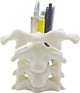 Unique Spine Pen Holder for Desk, Pencil Holder Desk Organizers, Office Supplies Decorations Idea Gift for Doctors, Nurses, Chiropractors