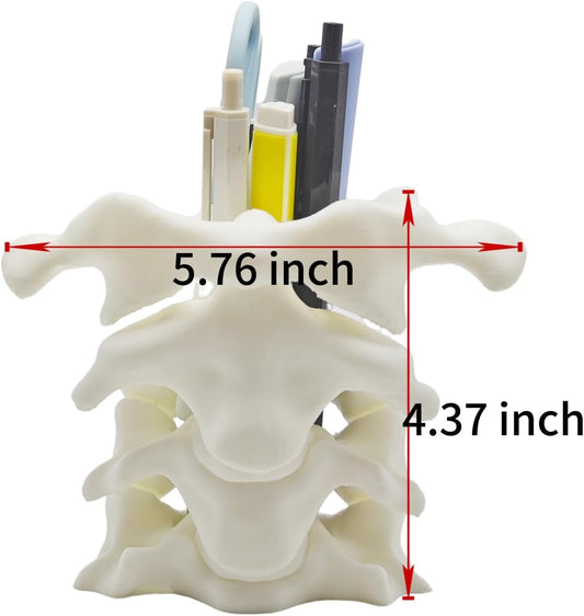 Unique Spine Pen Holder for Desk, Pencil Holder Desk Organizers, Office Supplies Decorations Idea Gift for Doctors, Nurses, Chiropractors