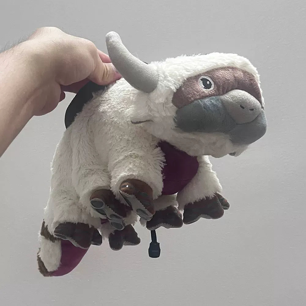 Appa Chalk Bag Rock Climbing Equipment