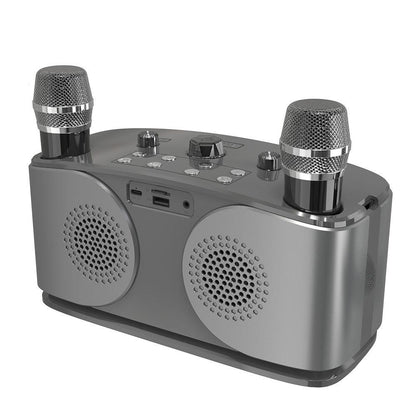 Wireless Bluetooth Karaoke Speaker with 2 Microphone Home KTV Set Grey