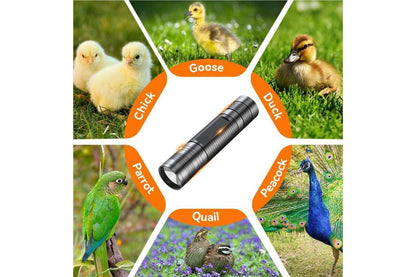 3 in 1 Egg Candler Light for Chicken Ostrich Eggs
