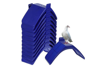 10 Pack Pigeon Dove Rest Stand Frame Dwelling Perches Roost Bird Supplies Set