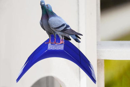 10 Pack Pigeon Dove Rest Stand Frame Dwelling Perches Roost Bird Supplies Set