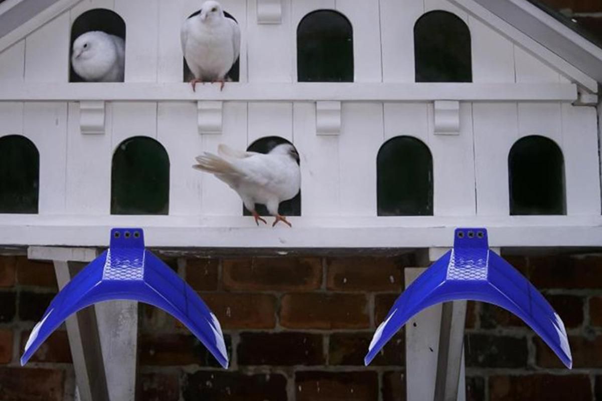 10 Pack Pigeon Dove Rest Stand Frame Dwelling Perches Roost Bird Supplies Set