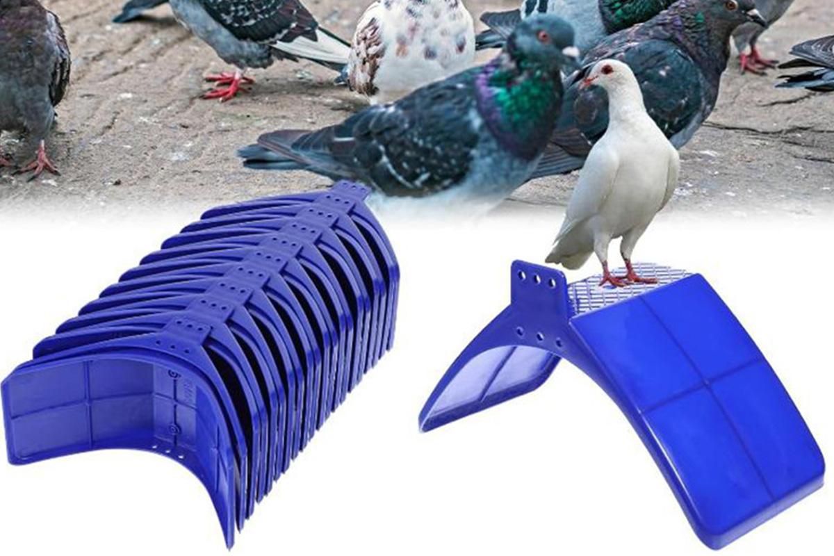 10 Pack Pigeon Dove Rest Stand Frame Dwelling Perches Roost Bird Supplies Set