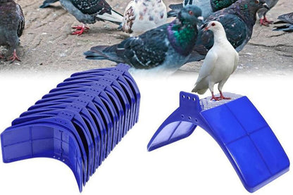 10 Pack Pigeon Dove Rest Stand Frame Dwelling Perches Roost Bird Supplies Set