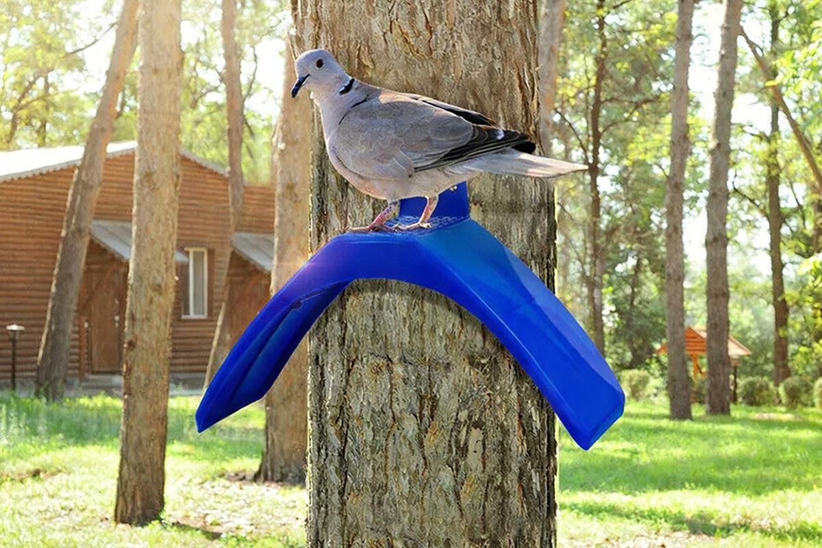10 Pack Pigeon Dove Rest Stand Frame Dwelling Perches Roost Bird Supplies Set