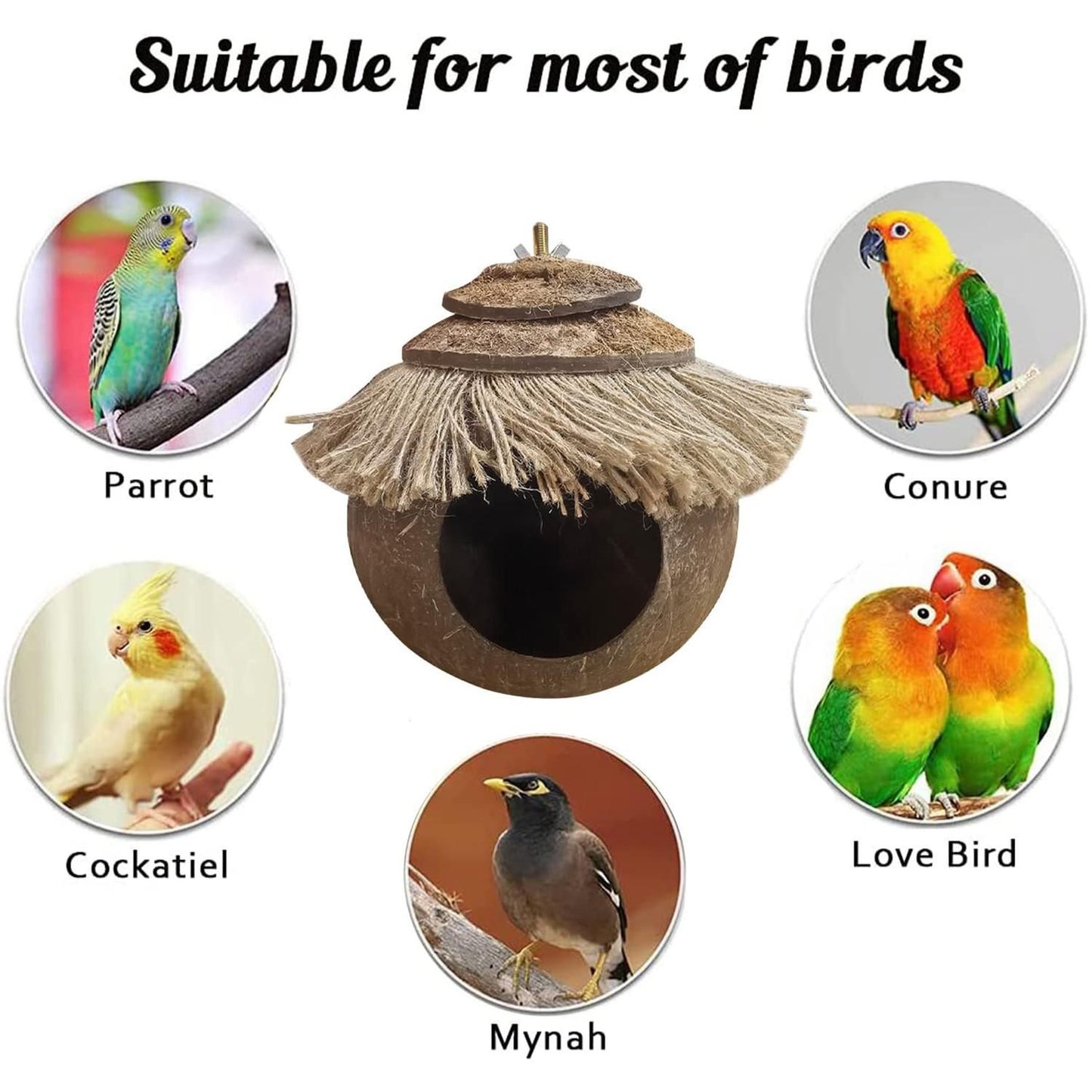 Hanging Coconut Shell Bird Nest With Ladder Cage Landscape Warm Bird House