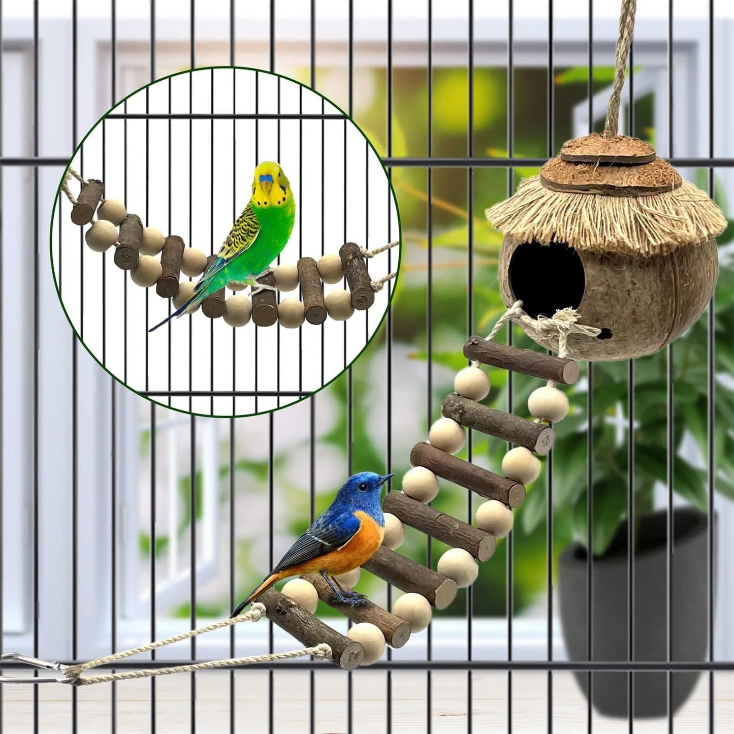 Hanging Coconut Shell Bird Nest With Ladder Cage Landscape Warm Bird House