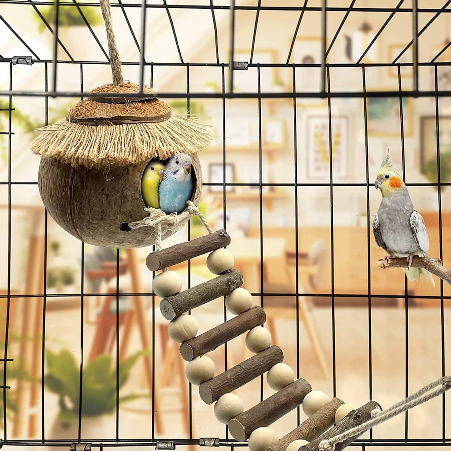 Hanging Coconut Shell Bird Nest With Ladder Cage Landscape Warm Bird House