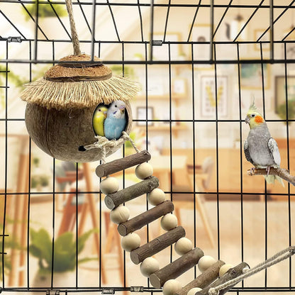 Hanging Coconut Shell Bird Nest With Ladder Cage Landscape Warm Bird House