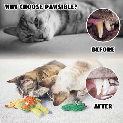 5 Pack Catnip Toys, Pure Organic Catnip Stuffed, Chew Plush for Indoor Cats