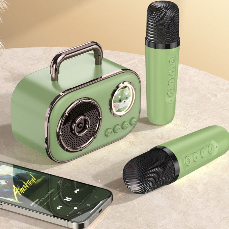 Dual Mic Karaoke Speaker, Portable Bluetooth Karaoke Audio Set, Family Wireless Microphone KTV Speaker—Green