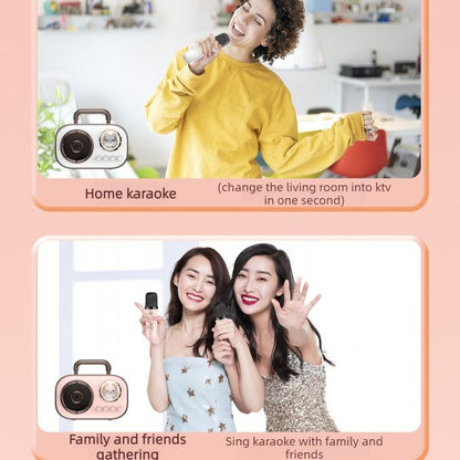 Dual Mic Karaoke Speaker, Portable Bluetooth Karaoke Audio Set, Family Wireless Microphone KTV Speaker—Pink