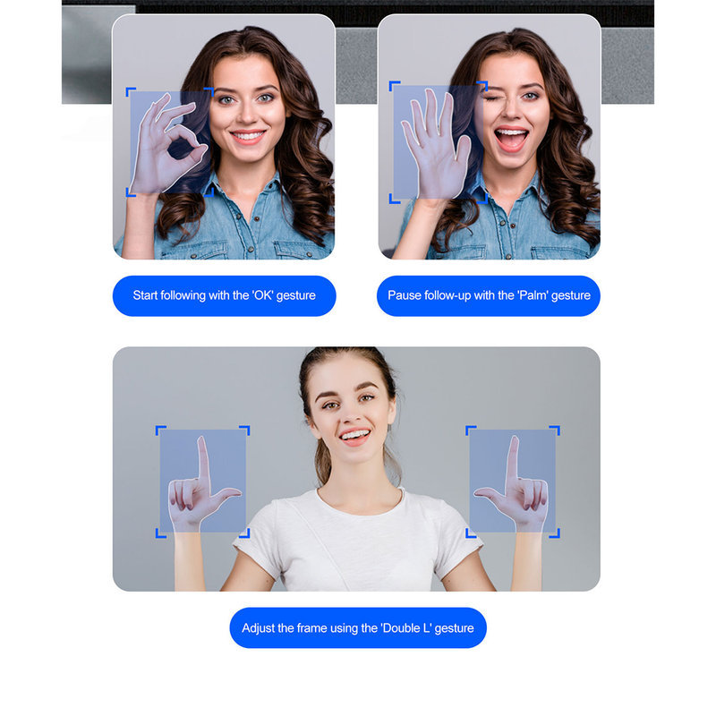 Phone Live Streaming Stand