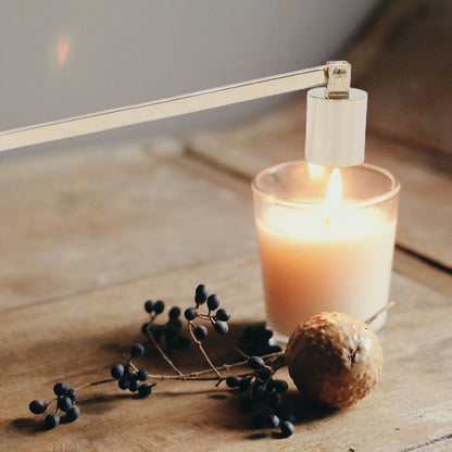 Candle Wick Snuffer Stainless Steel Wick Flame Snuffer Vintage Extinguisher with Long Handle