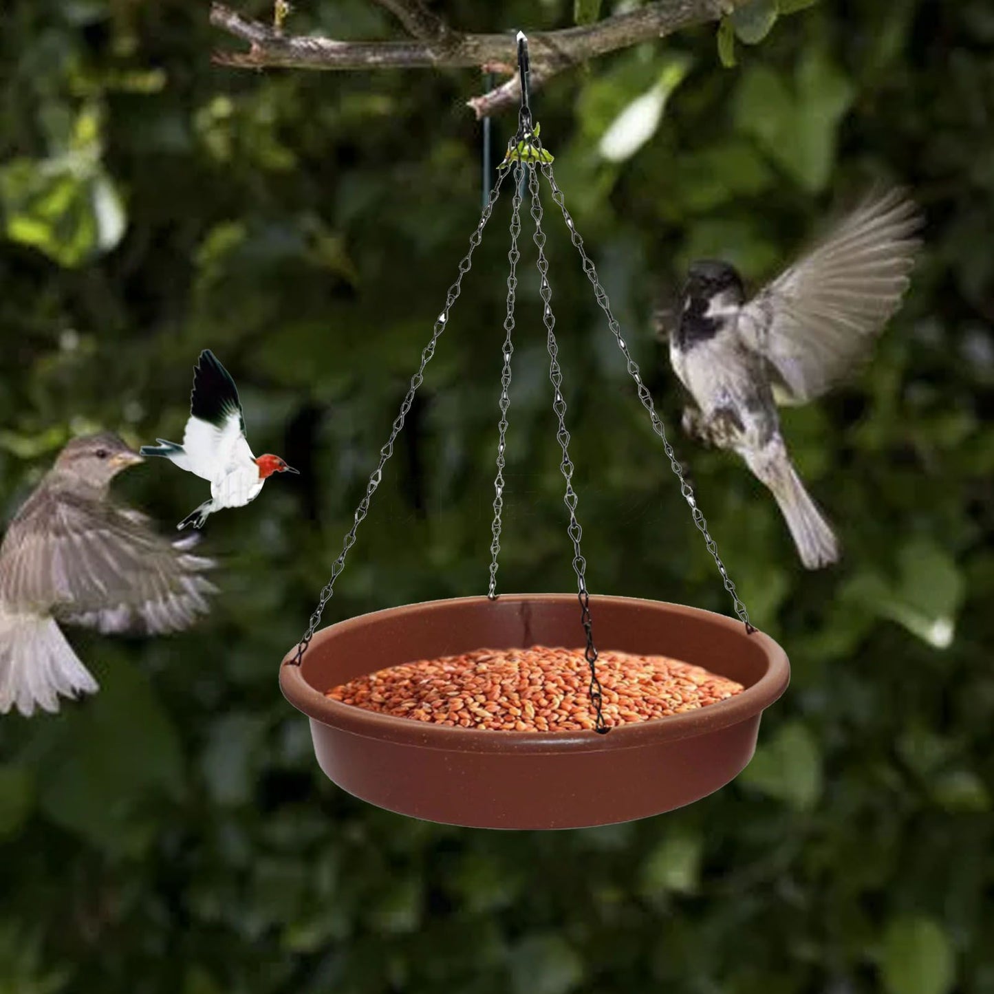 Bird Bath Hanging Bird Feeder Round Plastic Hanging Bird Feeder Tray Outdoor Bird Bath Tray Brown