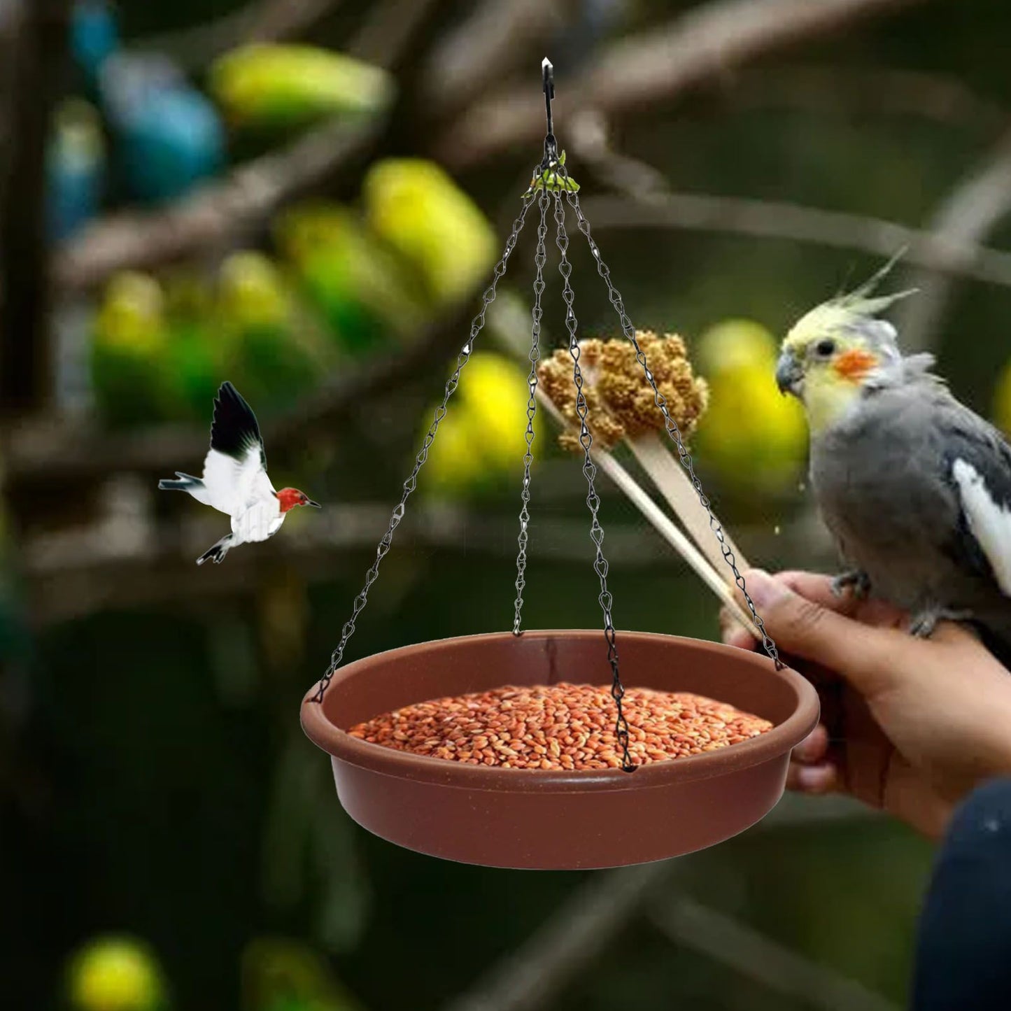 Bird Bath Hanging Bird Feeder Round Plastic Hanging Bird Feeder Tray Outdoor Bird Bath Tray Brown
