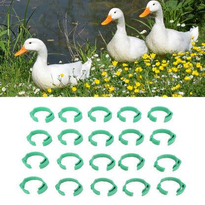 100pcs Chicken Identification Leg Bands Adjustable DIY Clip On Duck Bands for Geese Pigeons Green