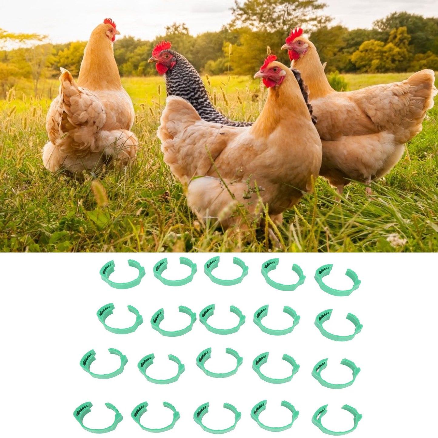 100pcs Chicken Identification Leg Bands Adjustable DIY Clip On Duck Bands for Geese Pigeons Green
