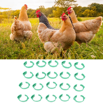 100pcs Chicken Identification Leg Bands Adjustable DIY Clip On Duck Bands for Geese Pigeons Green