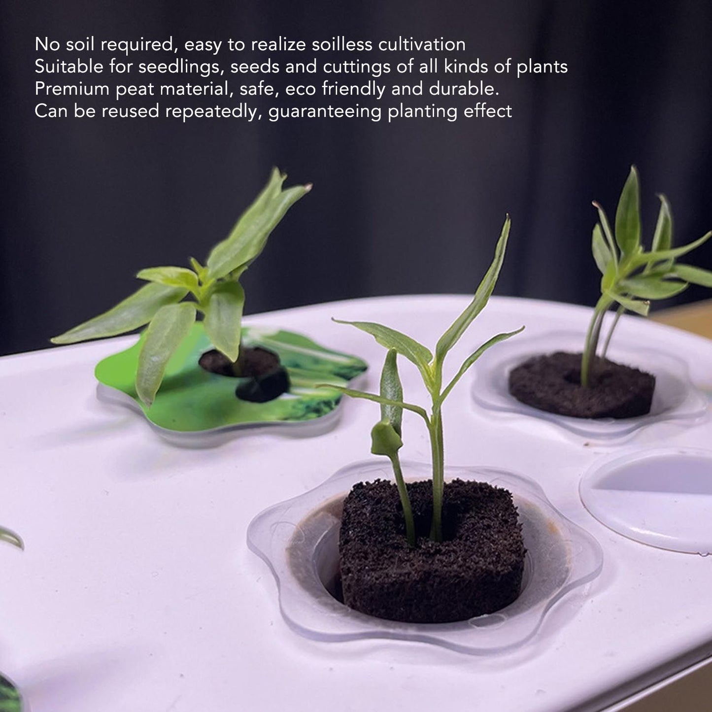 50 Pcs Seedling Block Peat Planting Block for Gardening Hydroponics Soilless Cultivation Plants Germination HRD TN0314