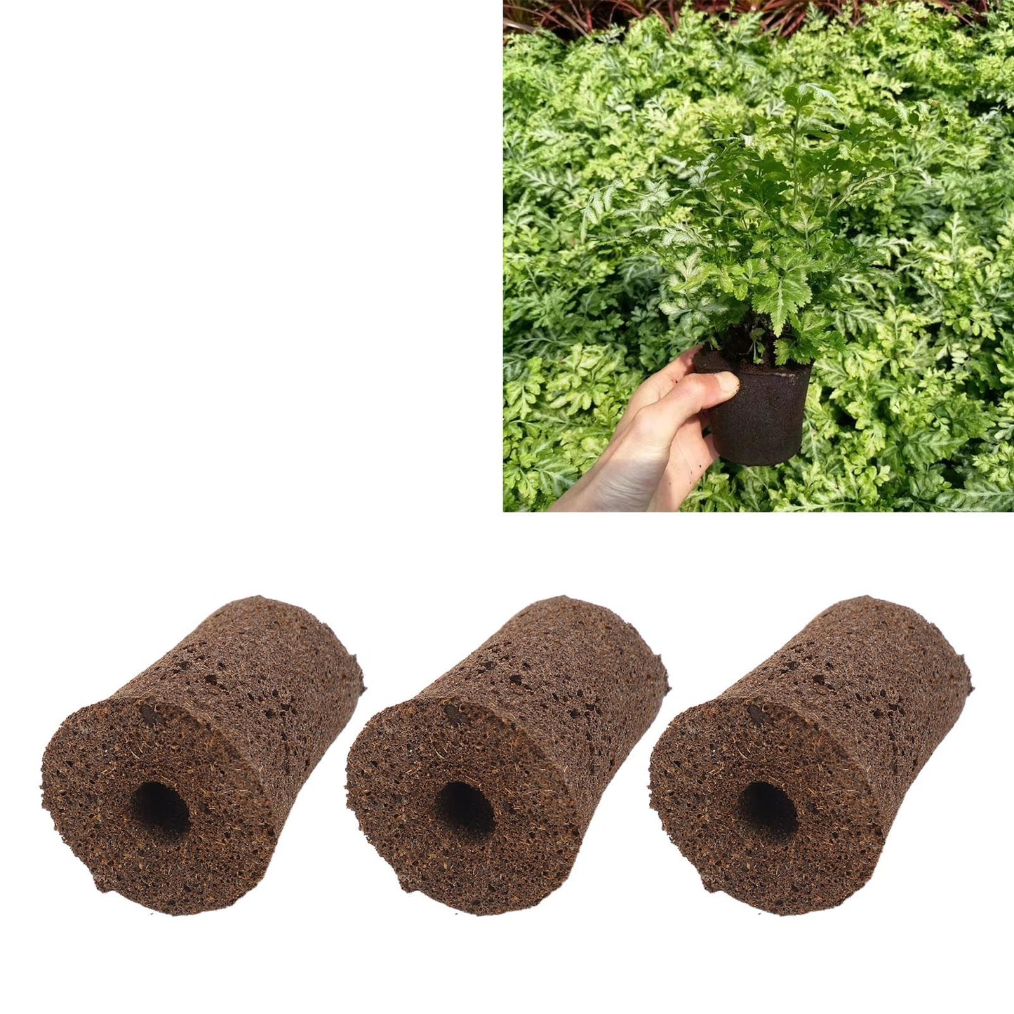 50 Pcs Seedling Block Peat Planting Block for Gardening Hydroponics Soilless Cultivation Plants Germination HRD TN0719