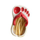 Ceramic French Fries Dish Cute Flip Flops French Fries Plate Cute Ceramic Bowl Flip Flops Shaped Snack Chip Soy Sauce Serving Dish Bowl Plate Red