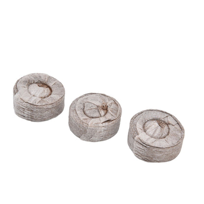 50Pcs Compressed Peat Block Cultivation and Nursery Nutrient Block Soil for Plant Flower VegetablesΦ35 X 10 mm