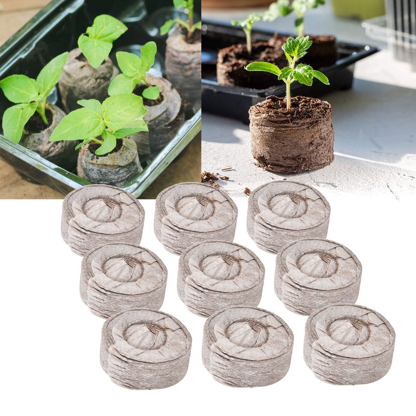 50Pcs Compressed Peat Block Cultivation and Nursery Nutrient Block Soil for Plant Flower VegetablesΦ35 X 10 mm