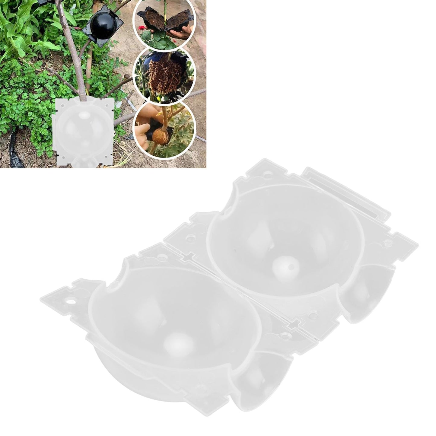10PCS Plant Root Growing Box Sturdy Structure Security Lock Lightweight Portable Root Ball Propagation