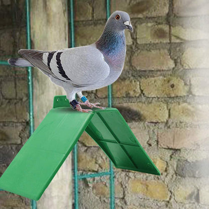 10PCS Dove Rest Stand Plastic Pigeons Bird Stand Perches Nonslip Pigeon Bird Perch Bird Holder Accessories