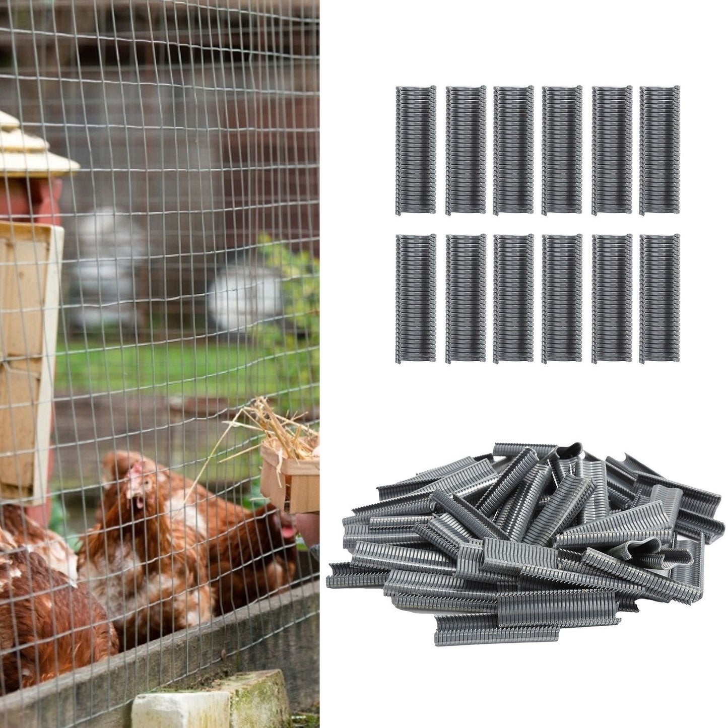 1800pcs M Nails Practical Repairing Tool Accessory for Rabbit Chicken Pigeons Foxes Cages