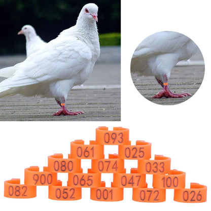 100pcs Birds Foot Rings Number Identification Pigeon Leg Bands Poultry Clip RingOrange