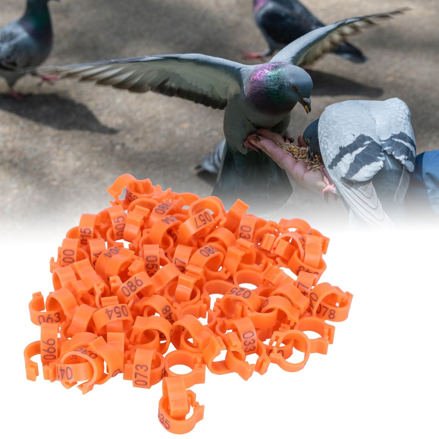 100pcs Birds Foot Rings Number Identification Pigeon Leg Bands Poultry Clip RingOrange