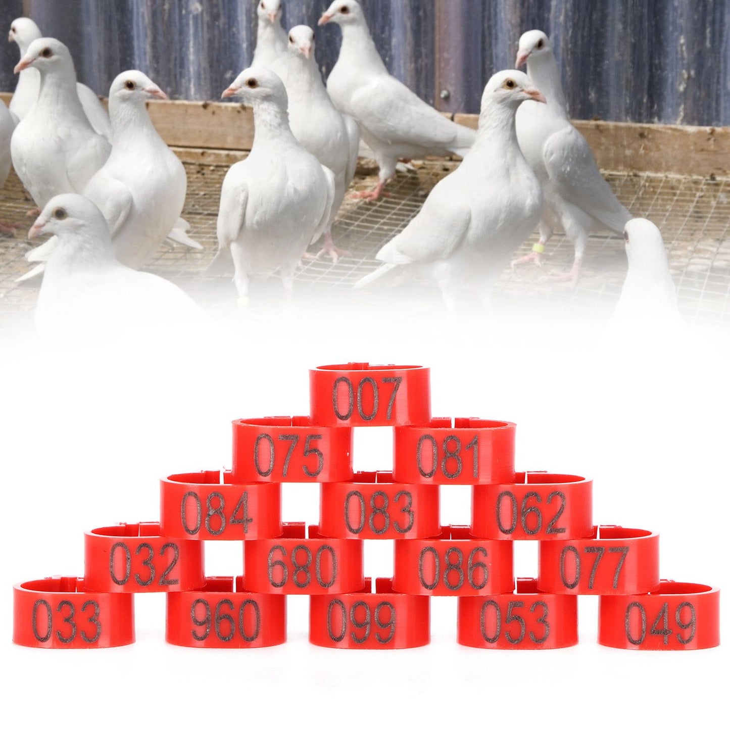 100Pcs Pigeons Identify Ring 001‑100 Numbered Poultry Leg Ring Bird Leg Bands Foot Ring10mm Red Ring with Number