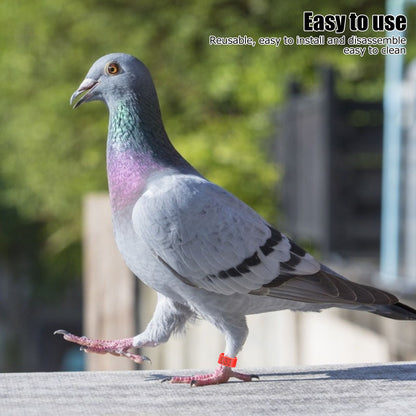 100Pcs Pigeons Identify Ring 001‑100 Numbered Poultry Leg Ring Bird Leg Bands Foot Ring10mm Red Ring with Number