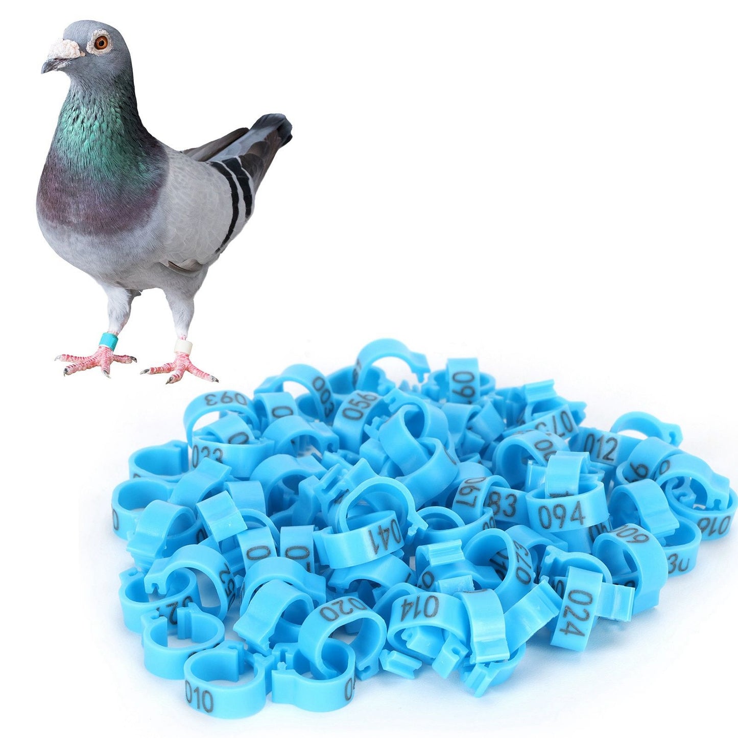 001‑100 Numbered Bird Leg Bands 8mm Poultry Identify Rings Accessory for Birds PigeonsBlue