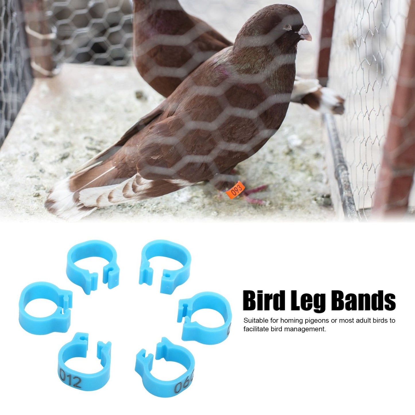 001‑100 Numbered Bird Leg Bands 8mm Poultry Identify Rings Accessory for Birds PigeonsBlue