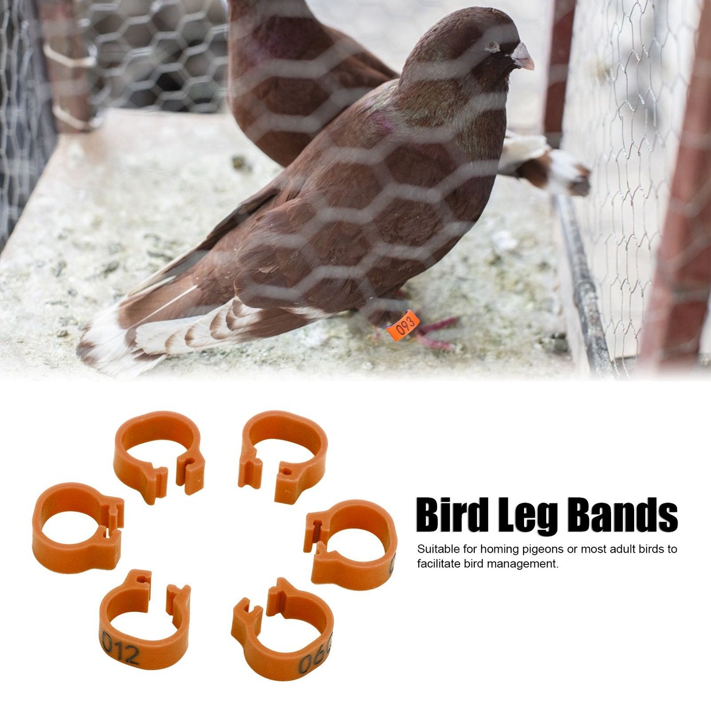 001‑100 Numbered Bird Leg Bands 8mm Poultry Identify Rings Accessory for Birds PigeonsCoffee