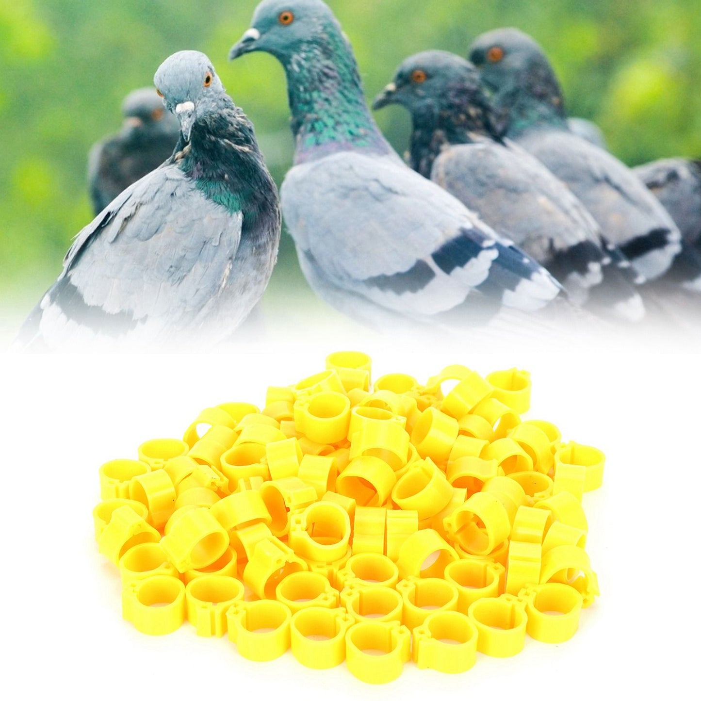 200Pcs 10mm Pigeons No Word Leg Ring Poultry Foot Clip Identification Ring Birds SuppliesYellow