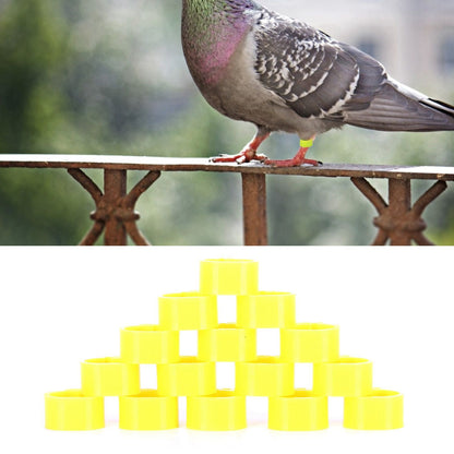 200Pcs 10mm Pigeons No Word Leg Ring Poultry Foot Clip Identification Ring Birds SuppliesYellow
